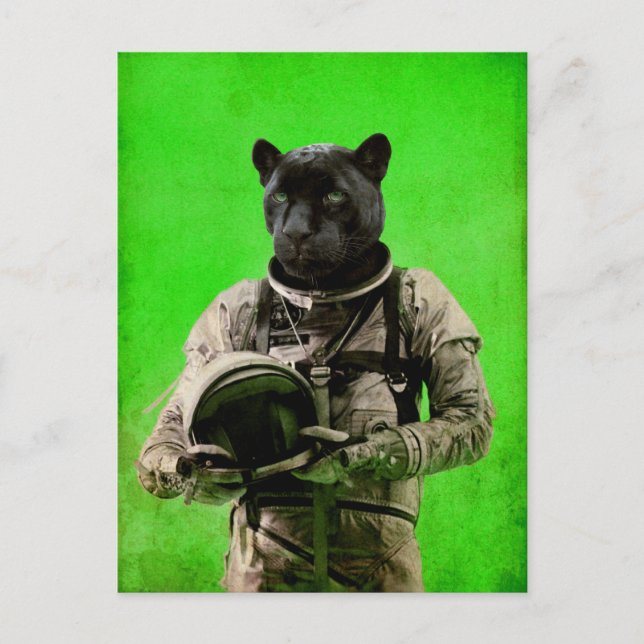 I'll taste the sky postcard (Front)