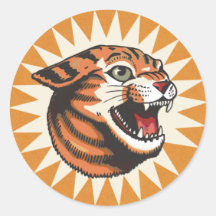 Ill-Tempered BobCat
