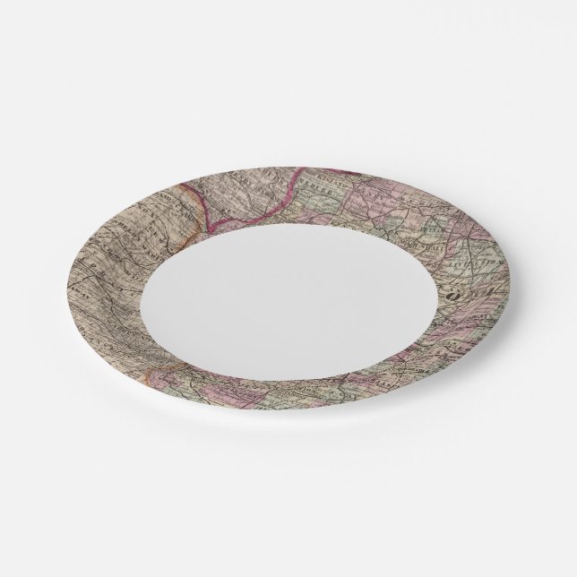 Illinois 10 paper plate (Angled)