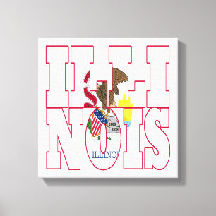 Illinois Canvas Print