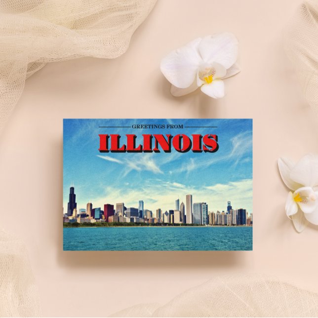 Illinois Chicago Skyline Print Postcard (Creator Uploaded)