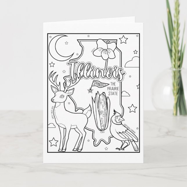 illinois colour me collage holiday card (Front)