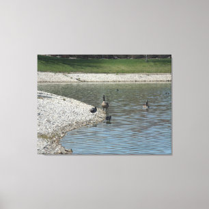 Illinois living canvas print