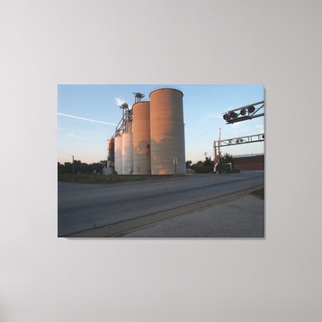 Illinois living canvas print (Front)