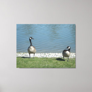 Illinois living canvas print