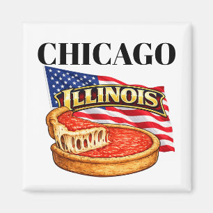Illinois Square Magnet