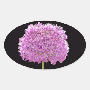 Illium Summer Spring Flower -Irish Design Oval Sticker