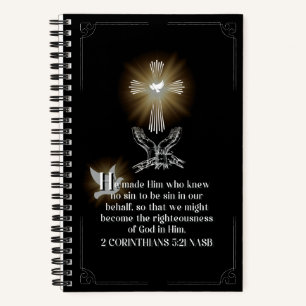 Illuminated Journal H