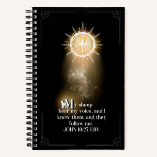 Illuminated Journal M