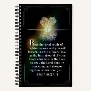Illuminated Journal P