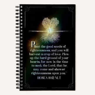 Illuminated Journal P