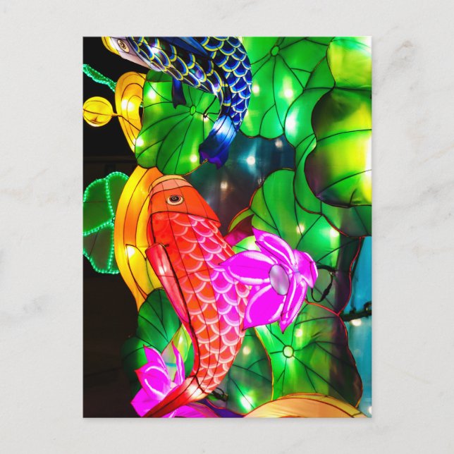 Illuminated Koi Postcard (Front)