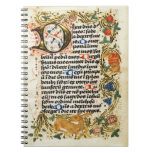 Illuminated Manuscript Notebook