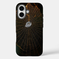 Illuminated Spider Web in Darkness
