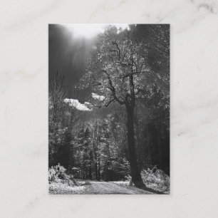Illuminated Tree ATC Business Card