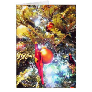 Illuminating Ornaments