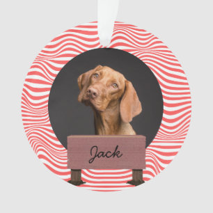 illusion christmas holiday Custom Dog Photo   Ornament