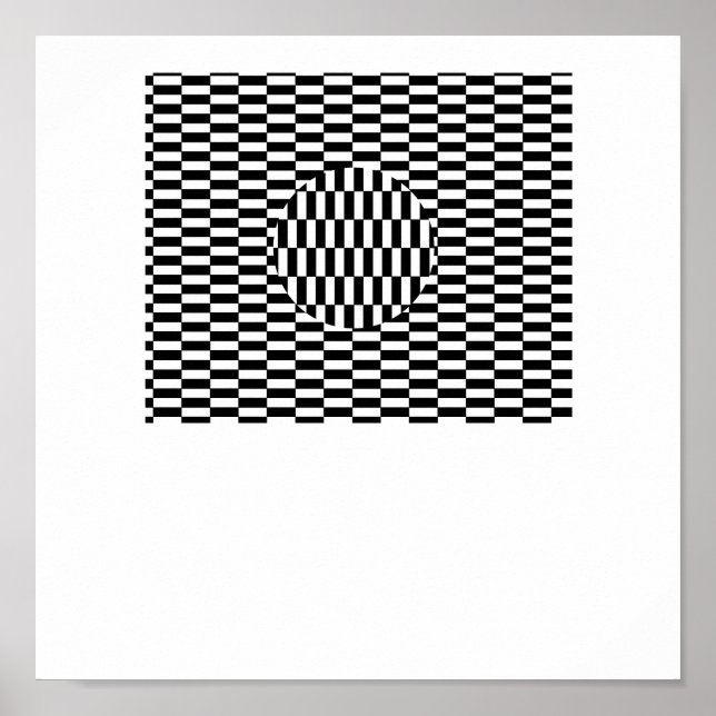 illusion poster (Front)