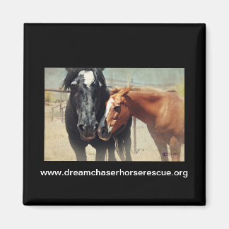 Illusion & Rush Magnet