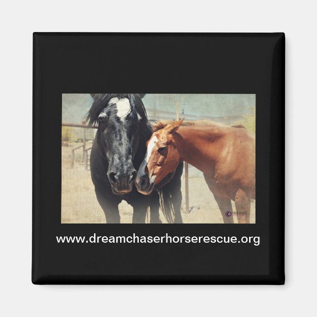 Illusion & Rush Magnet (Front)