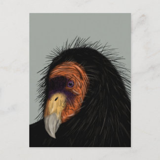 Illustrated California Condor Postcard