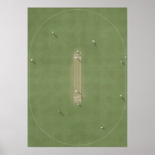 Illustrated Cricket Pitch from above Poster