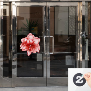 Illustrated Pink and White Amaryllis