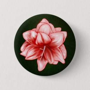 Illustrated Pink and White Amaryllis 6 Cm Round Badge