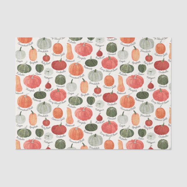 Illustrated Pumpkin Types Tissue Paper (Front)