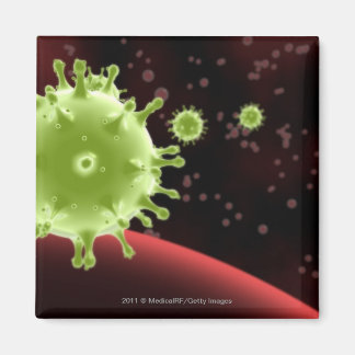 Illustrated rendering of the SARS coronavirus Magnet