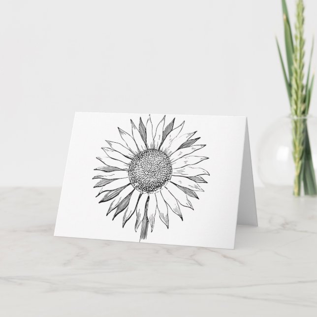 Illustrated Sunflower Card (Front)