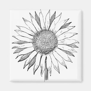 Illustrated Sunflower Magnet