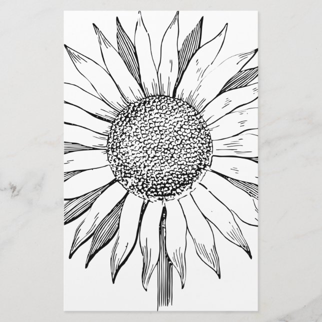 Illustrated Sunflower Stationery (Front)