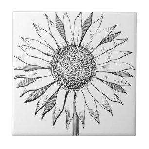 Illustrated Sunflower Tile