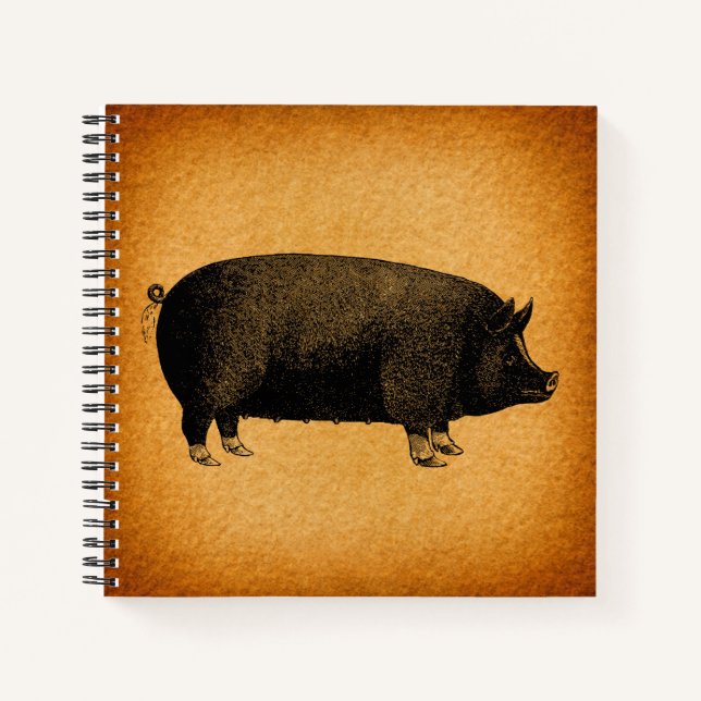 Illustrated Vintage Pig Rustic Art Notebook (Front)