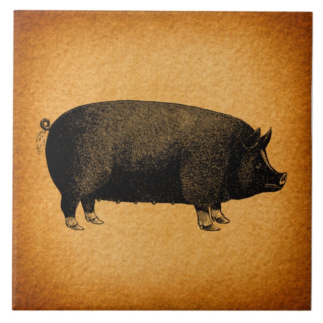 Illustrated Vintage Pig Rustic Art Tile (Front)