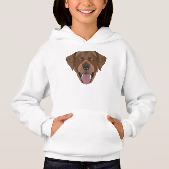 Illustration chocolate-colored Labrador retriever (Front)