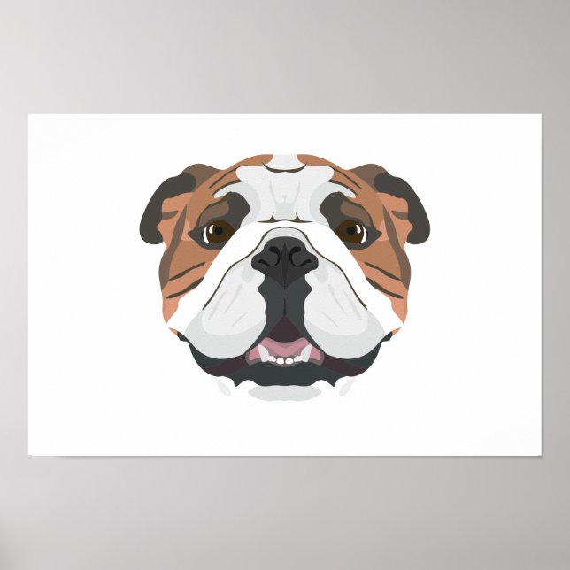 Illustration English Bulldog Poster (Front)