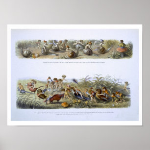 Illustration for 'In Fairyland: A Series of Pictur Poster