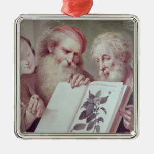 Illustration from Hortus Cliffortianus Metal Tree Decoration