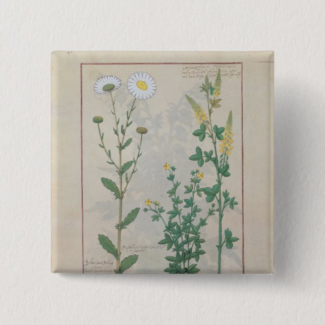Illustration from 'The Book of Simple 15 Cm Square Badge (Front)