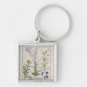 Illustration from the 'Book of Simple Medicines' 2 Key Ring