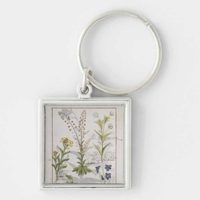Illustration from the 'Book of Simple Medicines' 2 Key Ring (Front)