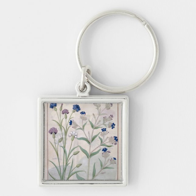 Illustration from the 'Book of Simple Medicines' 3 Key Ring (Front)