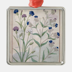 Illustration from the 'Book of Simple Medicines' 3 Metal Tree Decoration