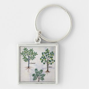 Illustration from the 'Book of Simple Medicines' Key Ring