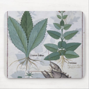 Illustration from the 'Book of Simple Medicines' Mouse Pad