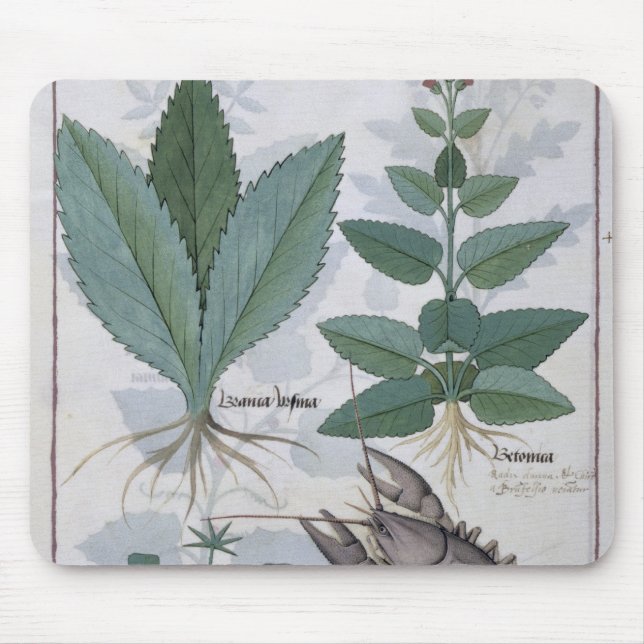 Illustration from the 'Book of Simple Medicines' Mouse Pad (Front)
