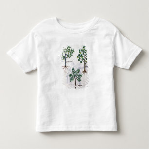 Illustration from the 'Book of Simple Medicines' Toddler T-Shirt