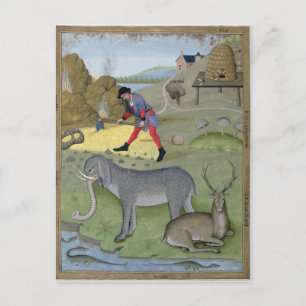 Illustration from the 'Book of Simple Postcard